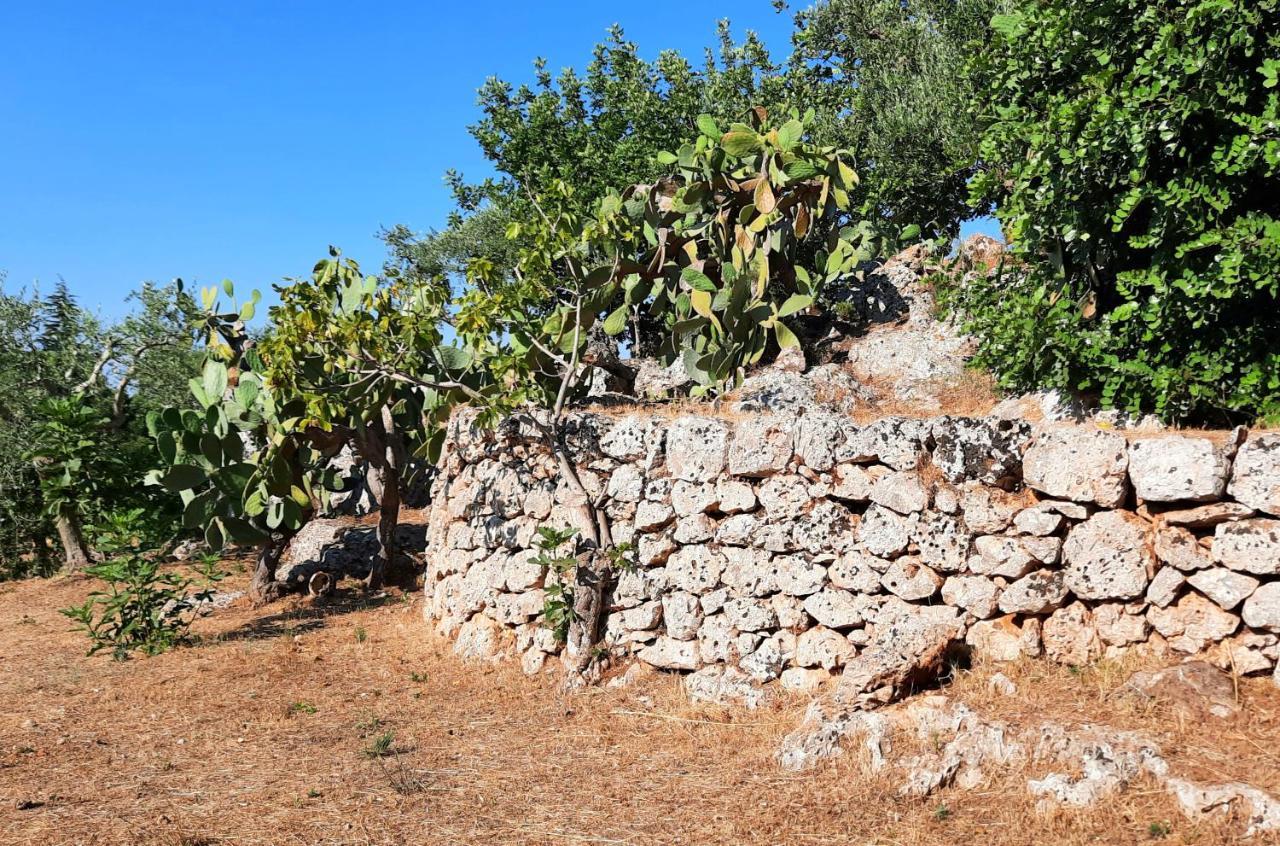 I Due Carrubi Ostuni Exterior foto